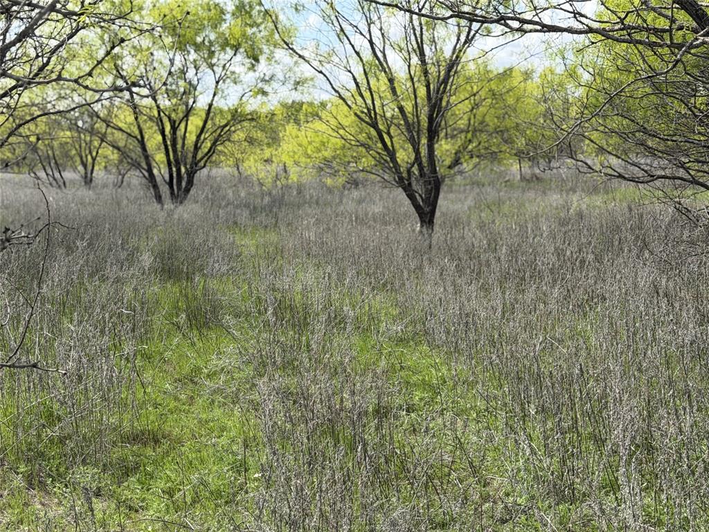 250 County Road 427 Rising Star, TX 76471 - Photo 5 of 24
