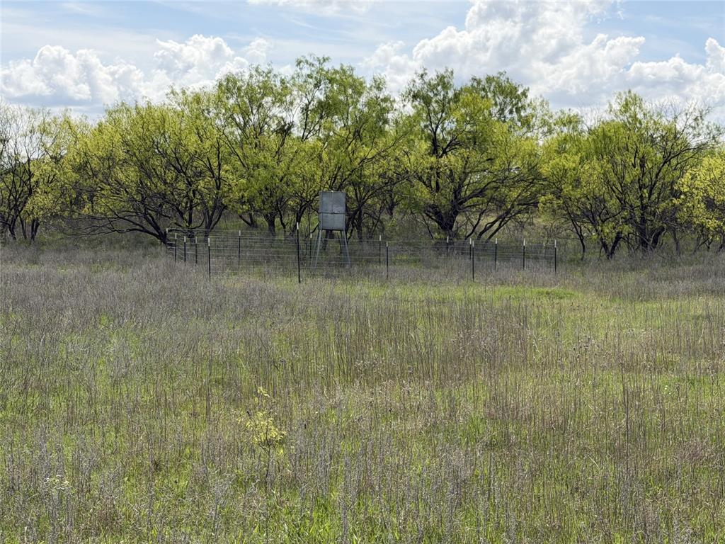 250 County Road 427 Rising Star, TX 76471 - Photo 10 of 24 a view of a lake with a yard
