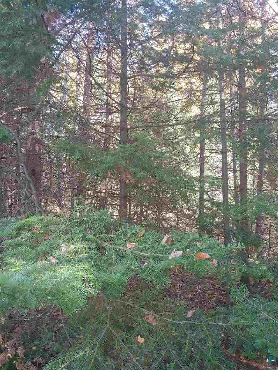 8115 County Rd L Solon Springs, WI 54873 - Photo 26 of 38