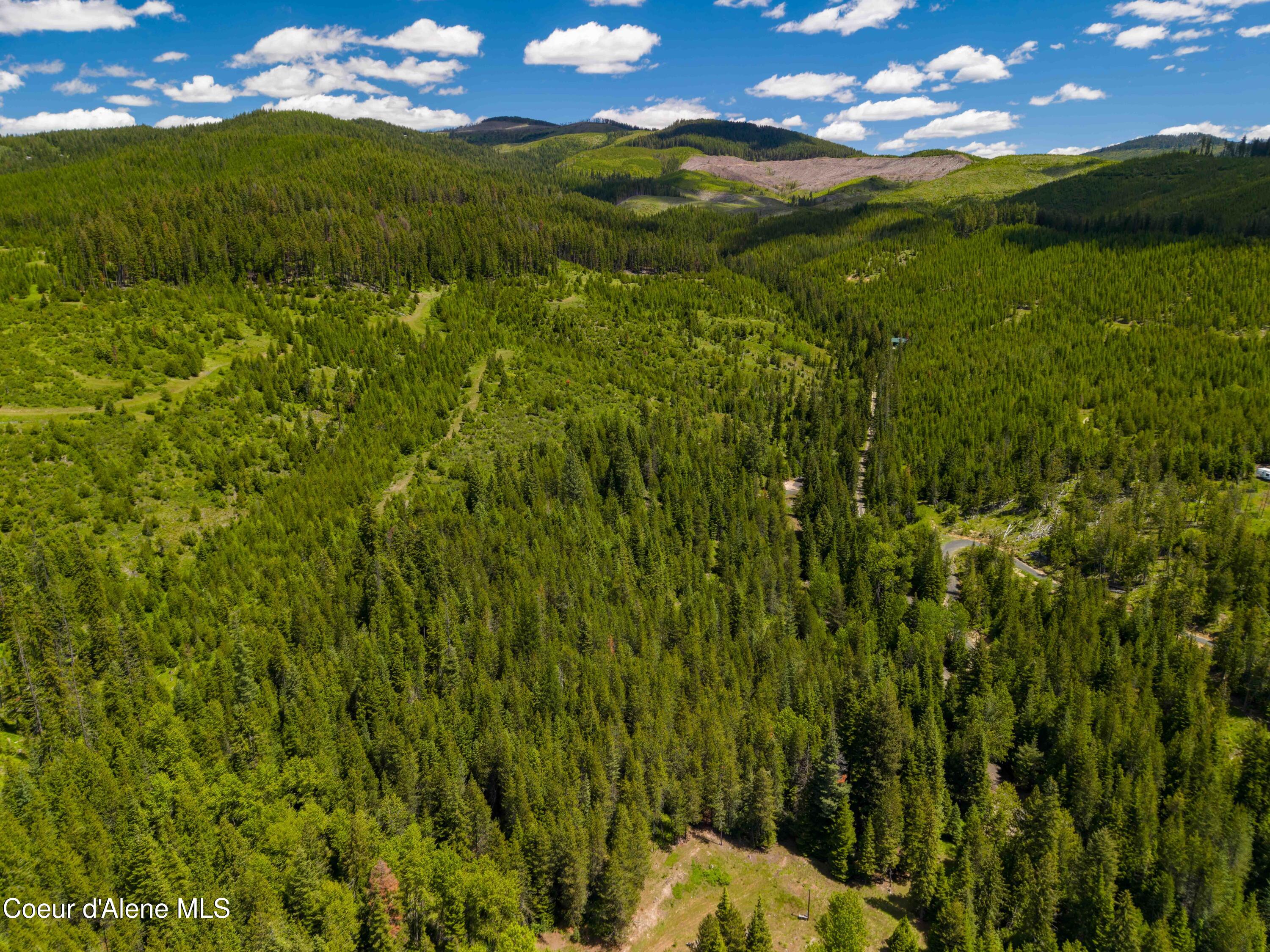 1314 Finn Creek Road Fernwood, ID 83830 - Photo 21 of 23 June 11 2026 (10 of 20)