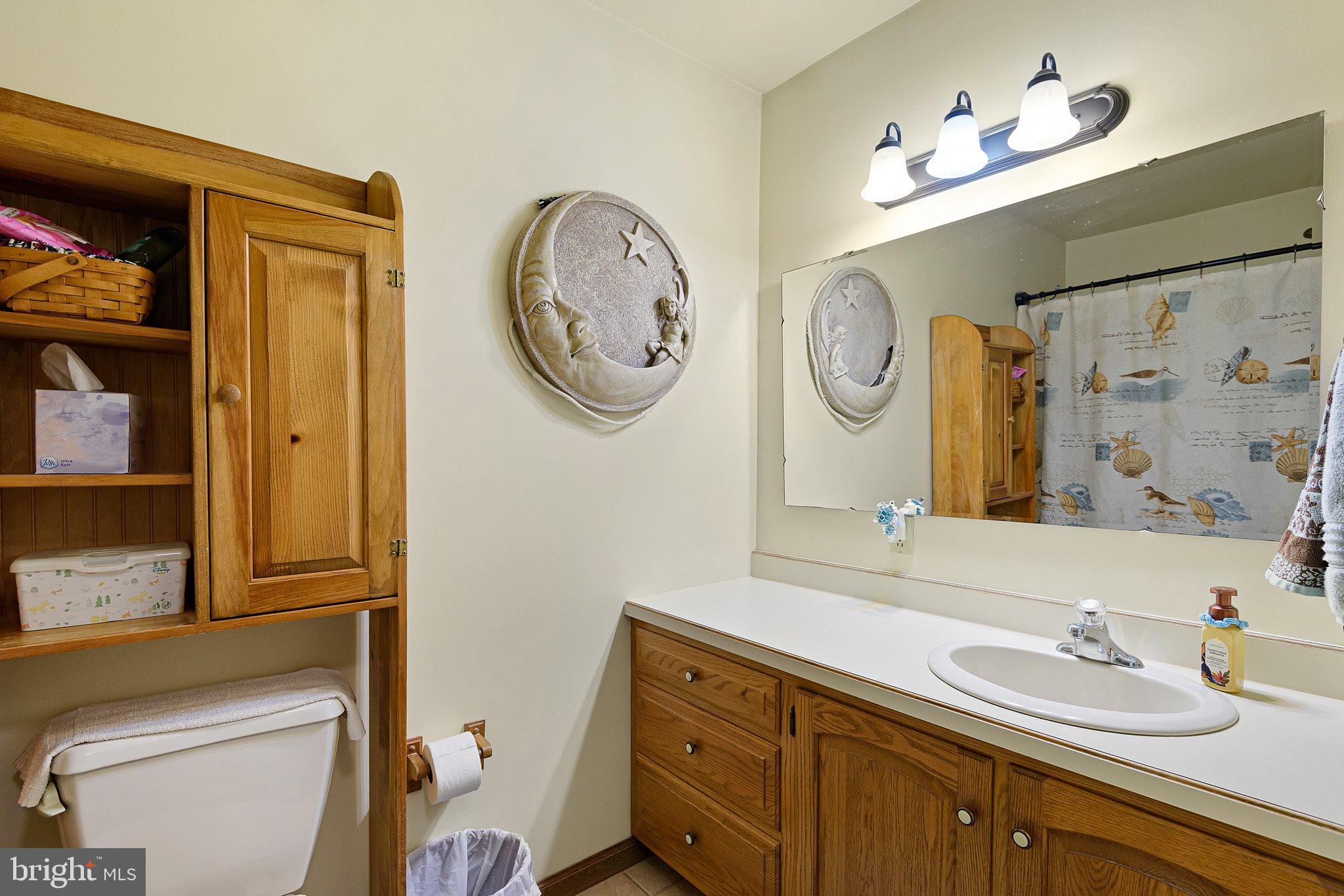 135 Blacksnake Road Elkton, MD 21921 - Photo 27 of 57 Main level en suite