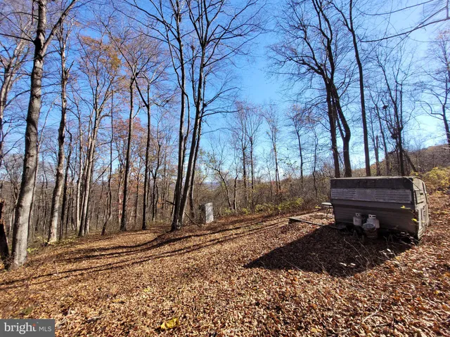 a view of a backyard of the house