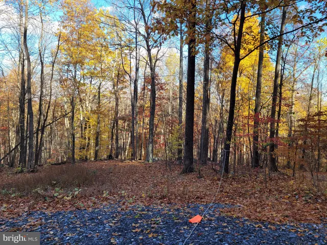 a view of outdoor space with lots of trees