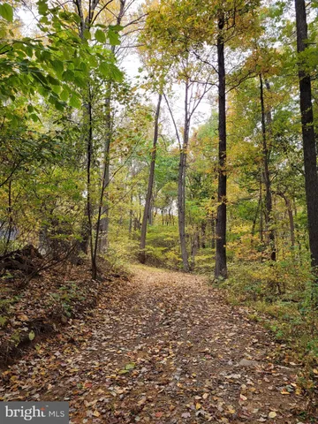 a big yard with lots of green space and trees