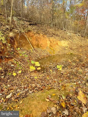 a view of yard with wooden fence