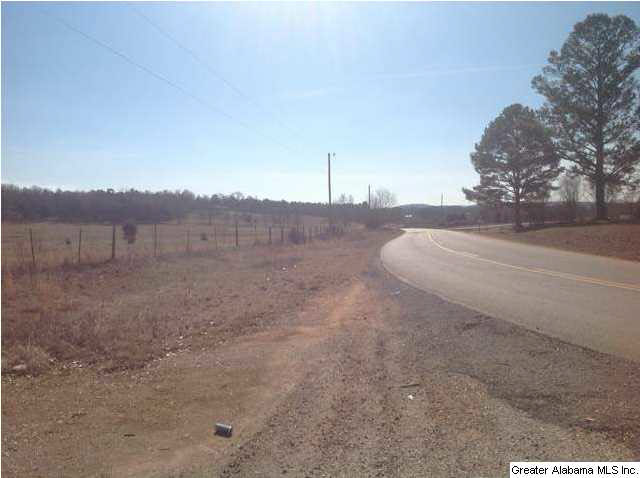 Curry Station Road, Unit 72 Eastaboga, AL 36260 - Photo 2 of 4