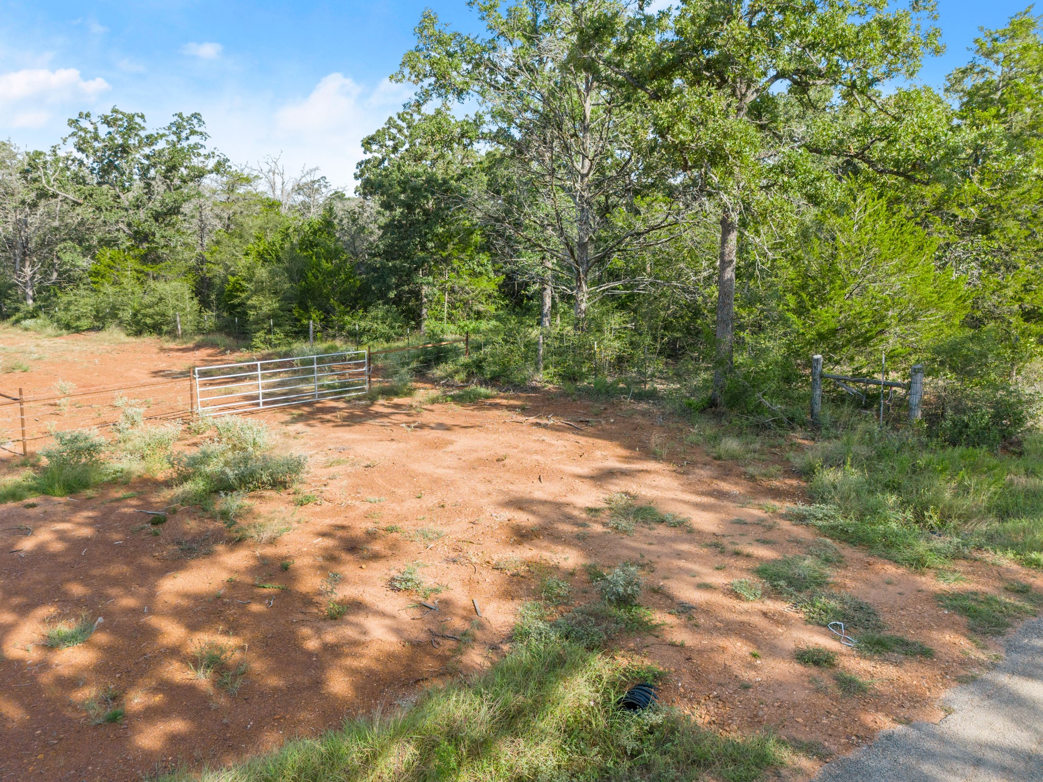 170 Split Oak Road Smithville, TX 78957 - Photo 20 of 31 Mature trees frame this verdant rural lot, offering a tranquil setting.