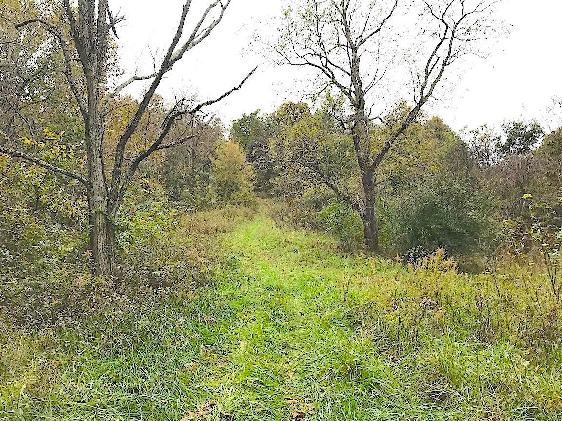 0 North Township Road Middleport, OH 45760 - Photo 11 of 49