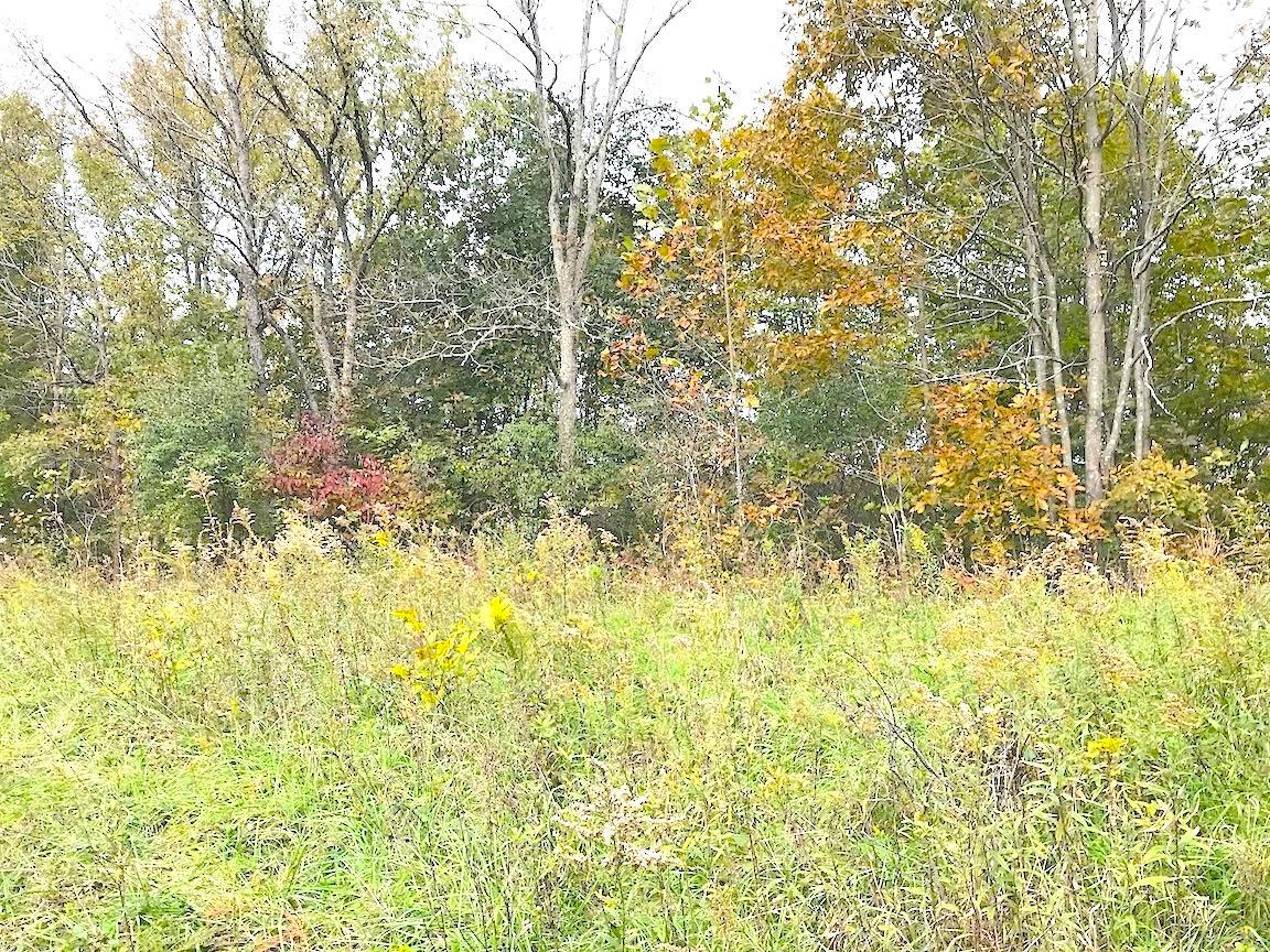 0 North Township Road Middleport, OH 45760 - Photo 12 of 49