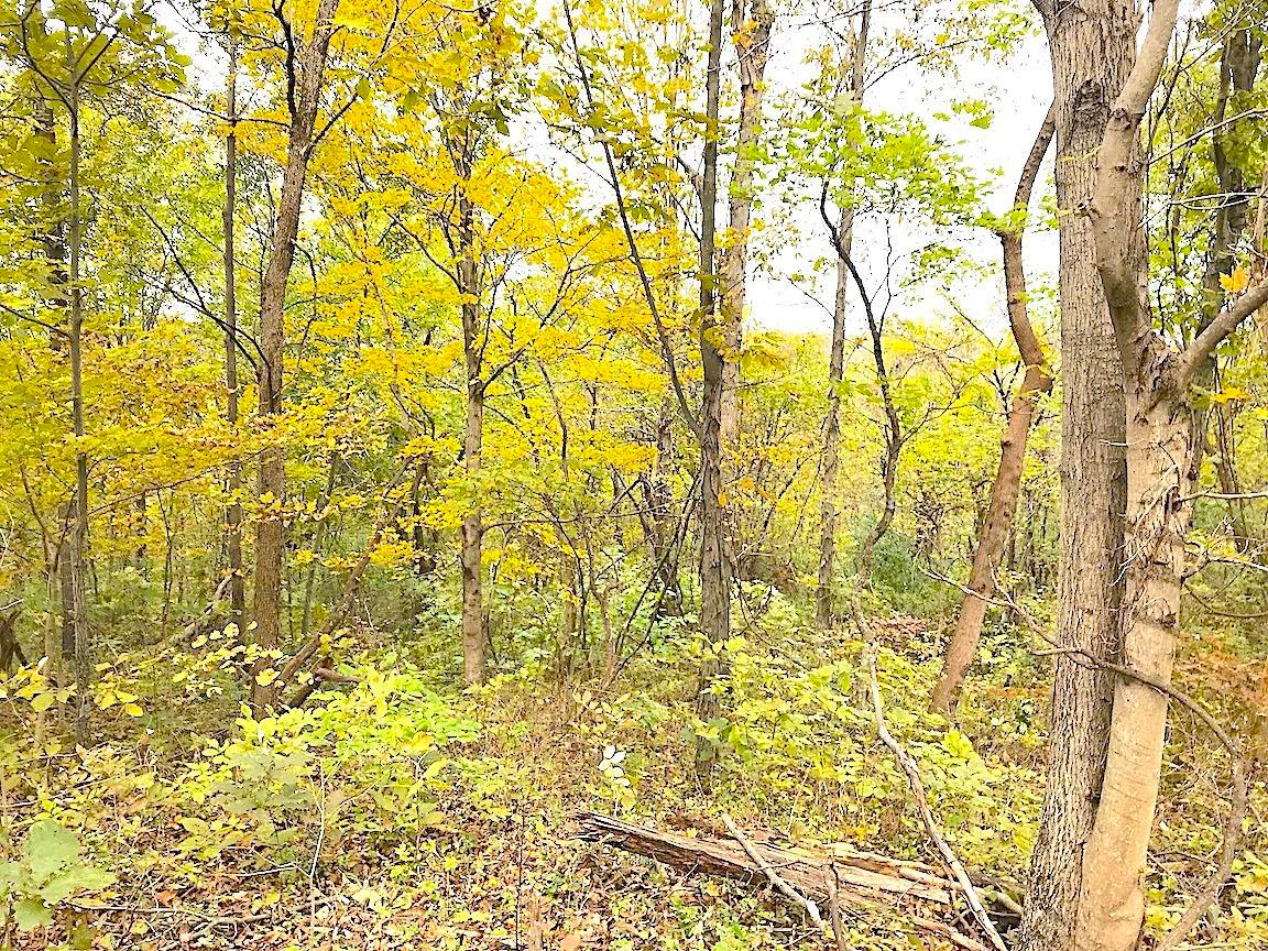 0 North Township Road Middleport, OH 45760 - Photo 13 of 49