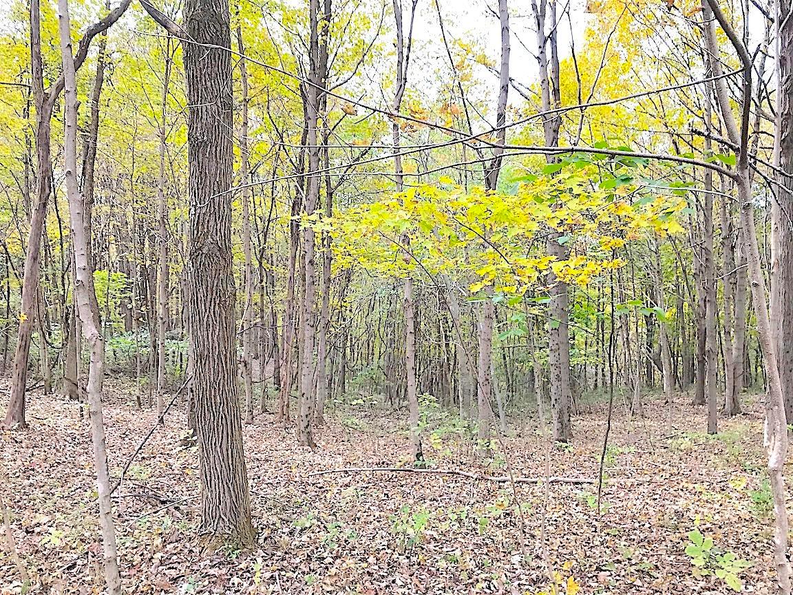0 North Township Road Middleport, OH 45760 - Photo 20 of 49