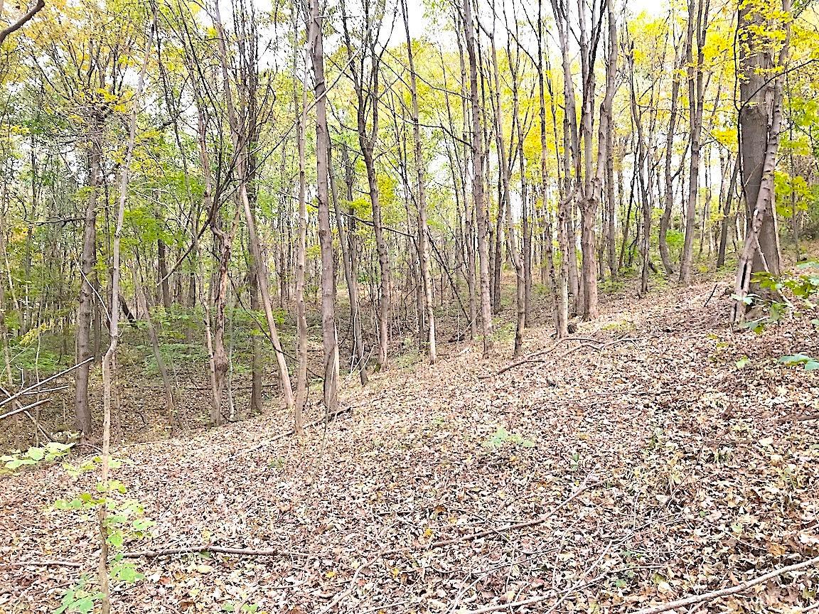 0 North Township Road Middleport, OH 45760 - Photo 23 of 49