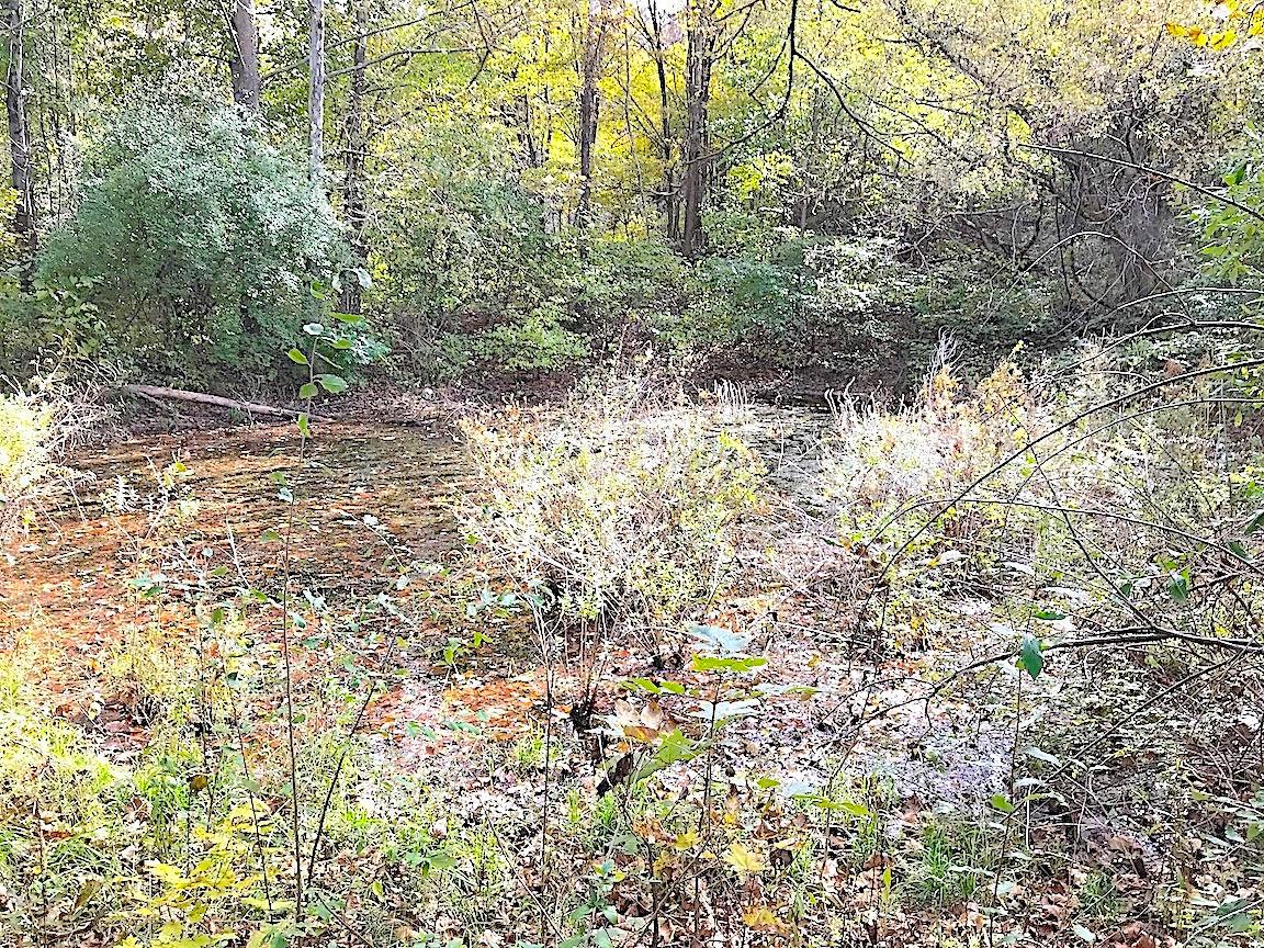 0 North Township Road Middleport, OH 45760 - Photo 27 of 49