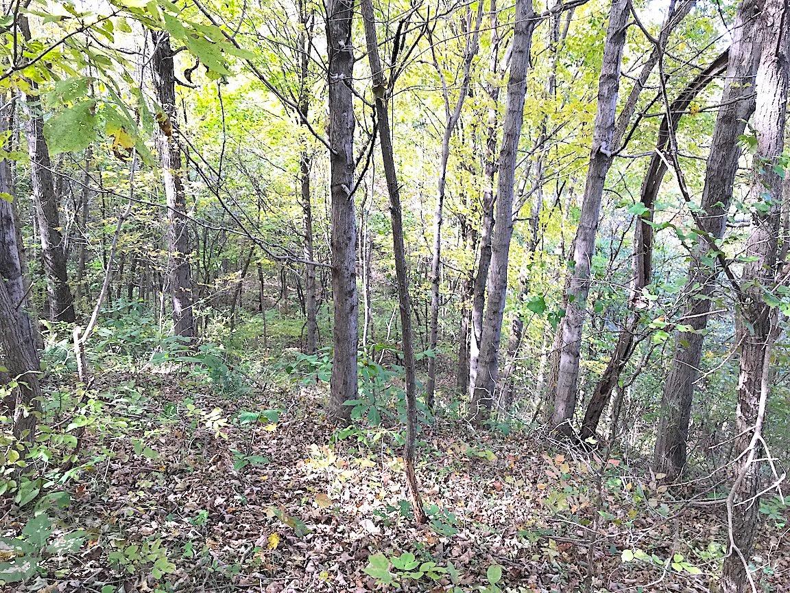 0 North Township Road Middleport, OH 45760 - Photo 28 of 49