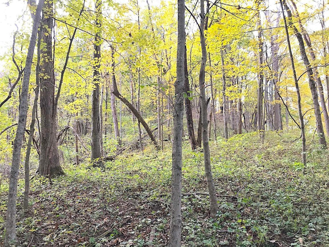 0 North Township Road Middleport, OH 45760 - Photo 40 of 49