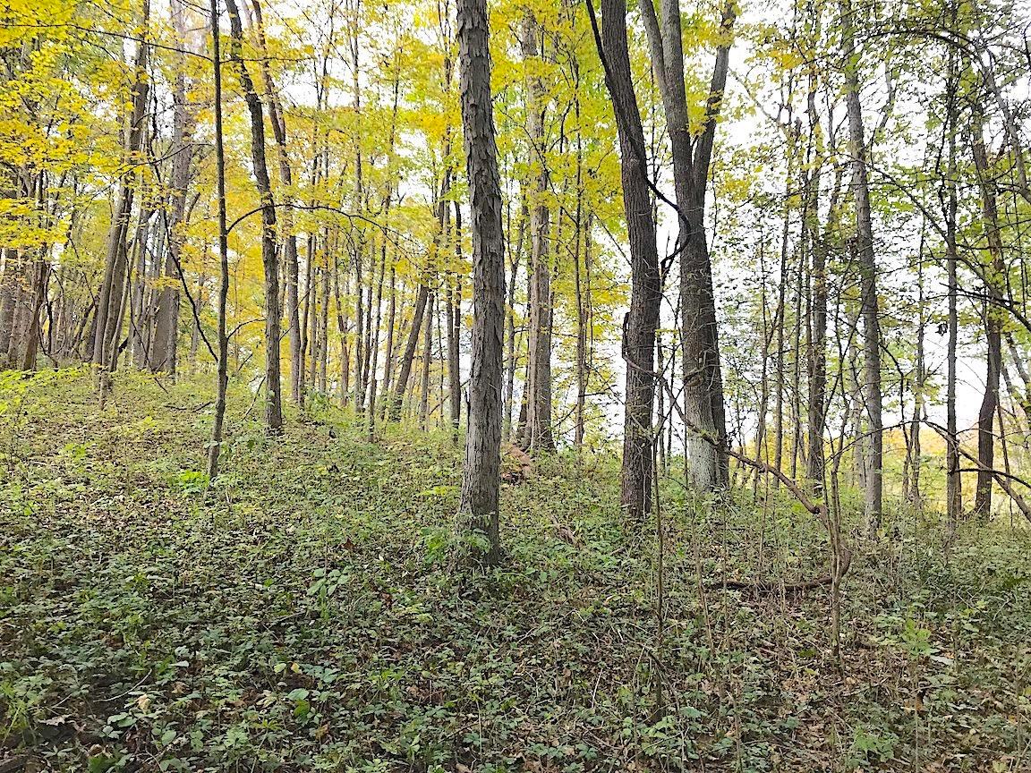 0 North Township Road Middleport, OH 45760 - Photo 41 of 49