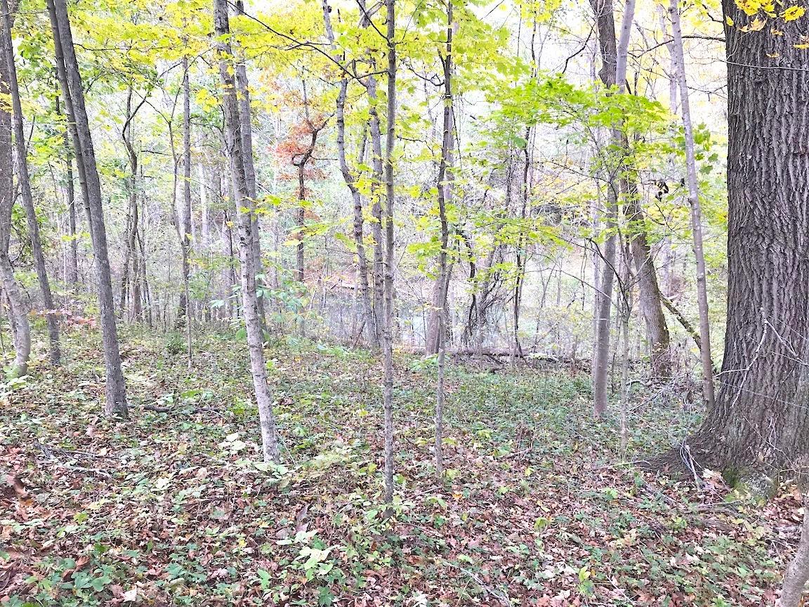 0 North Township Road Middleport, OH 45760 - Photo 42 of 49