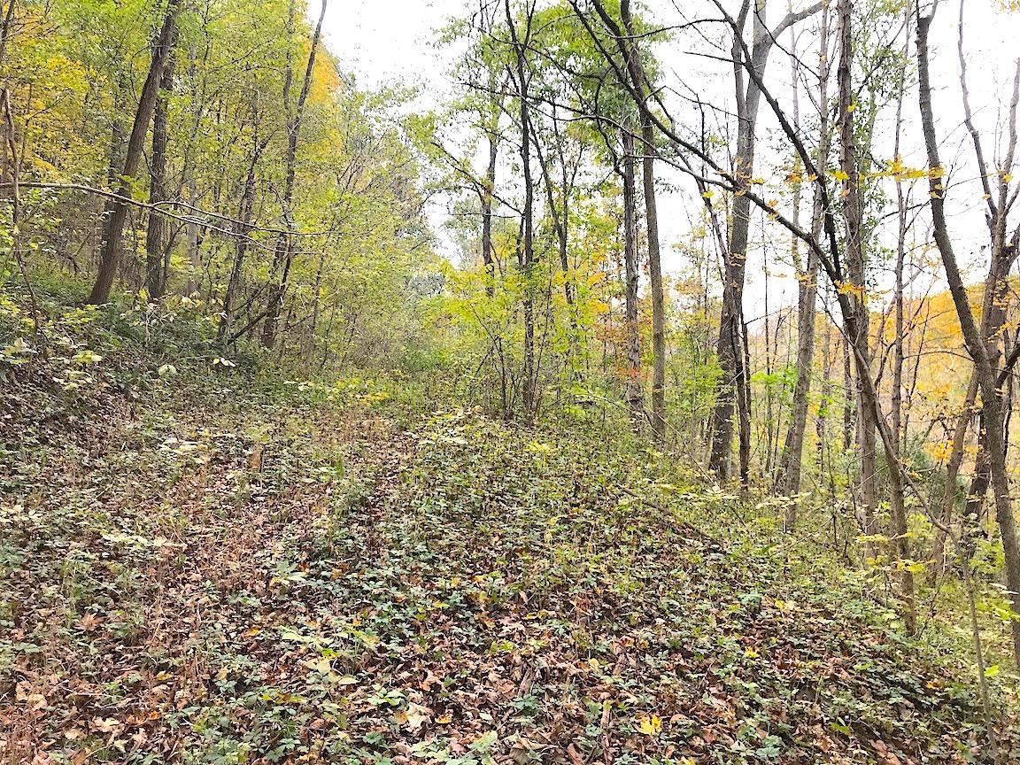 0 North Township Road Middleport, OH 45760 - Photo 43 of 49