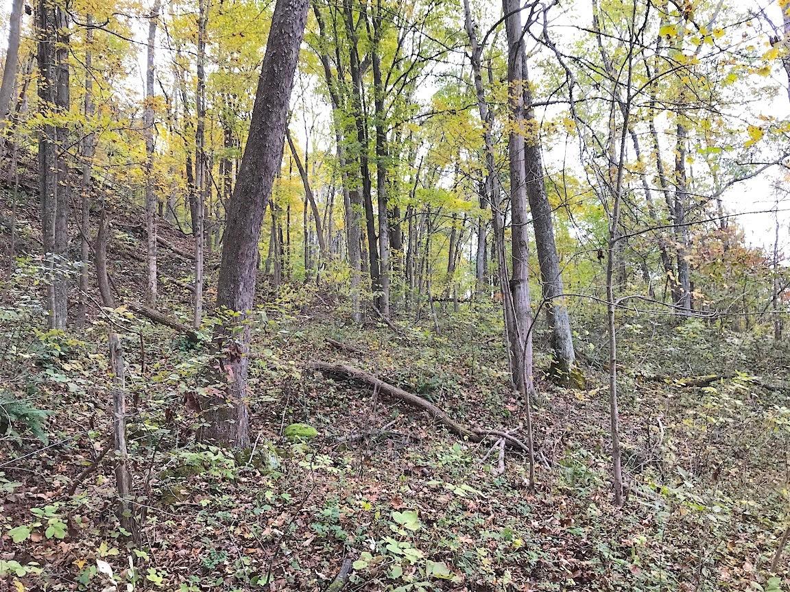 0 North Township Road Middleport, OH 45760 - Photo 44 of 49