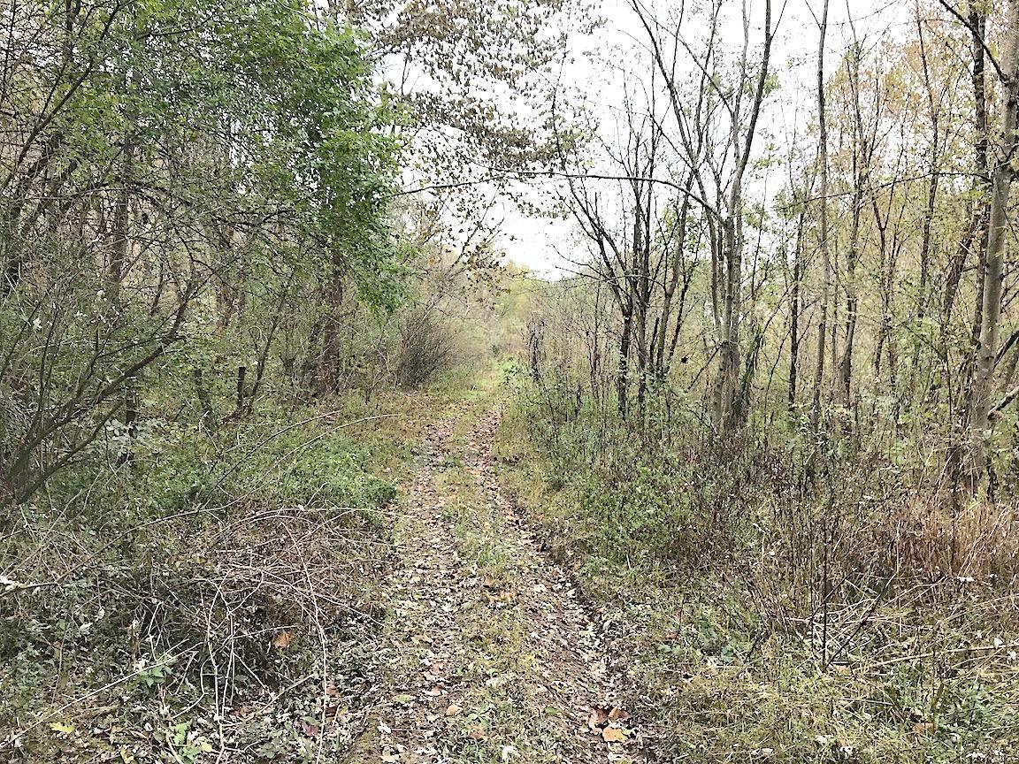 0 North Township Road Middleport, OH 45760 - Photo 47 of 49