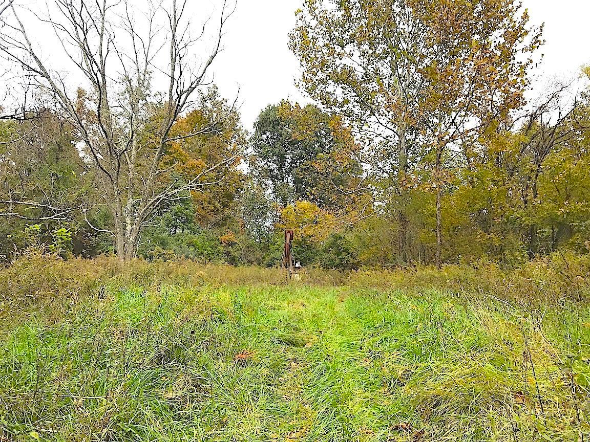 0 North Township Road Middleport, OH 45760 - Photo 10 of 49