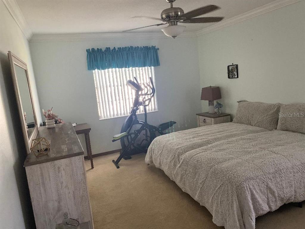 8437 Gibralter Street Spring Hill, FL 34608 - Photo 22 of 30 a bedroom with a bed and a mirror