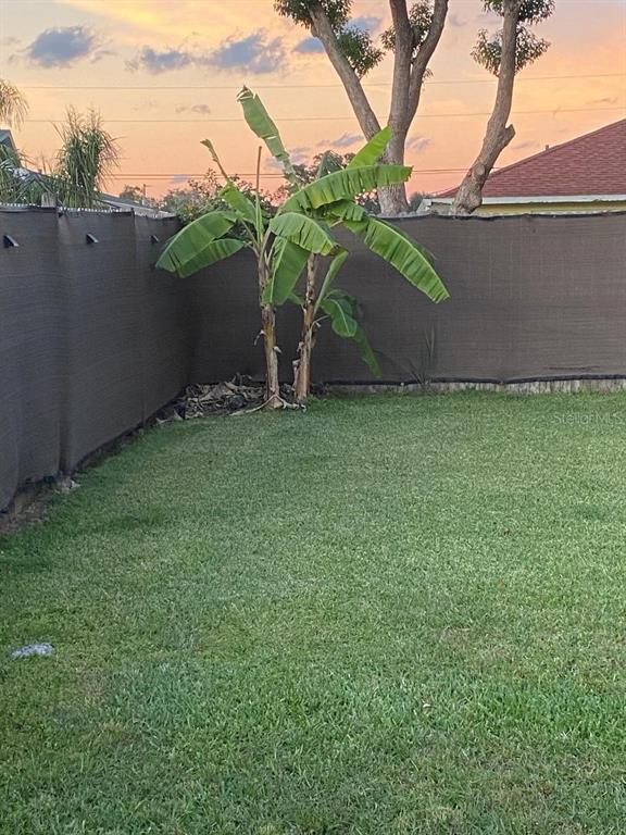 8437 Gibralter Street Spring Hill, FL 34608 - Photo 27 of 30 a backyard of a house with lots of green space and ocean view