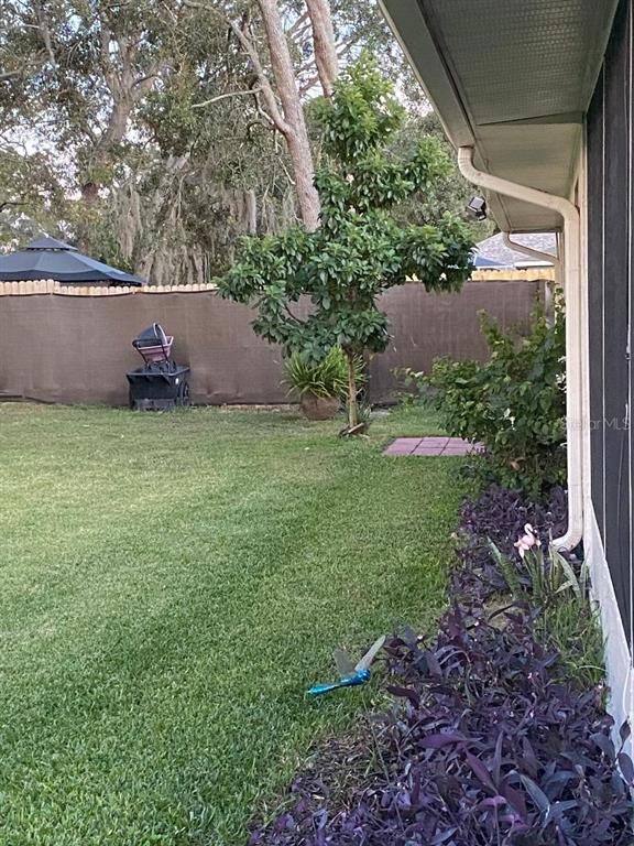 8437 Gibralter Street Spring Hill, FL 34608 - Photo 28 of 30 a backyard of a house with lots of green space