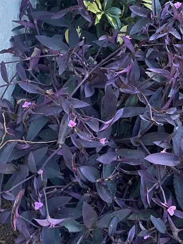 $259,900 | 8437 Gibralter Street, Spring Hill, FL 34608