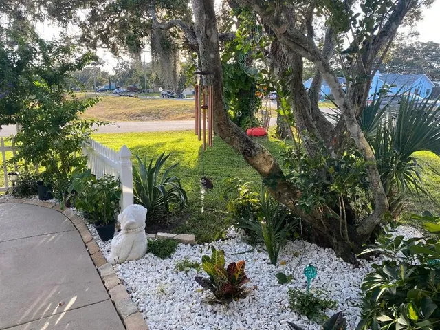 a view of a garden with plants