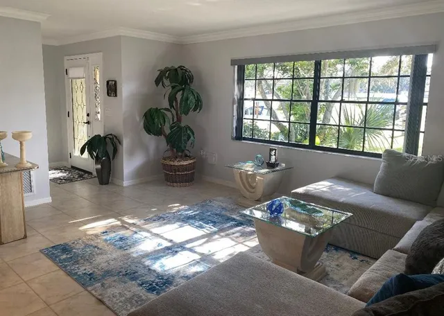 a living room with furniture and a potted plant