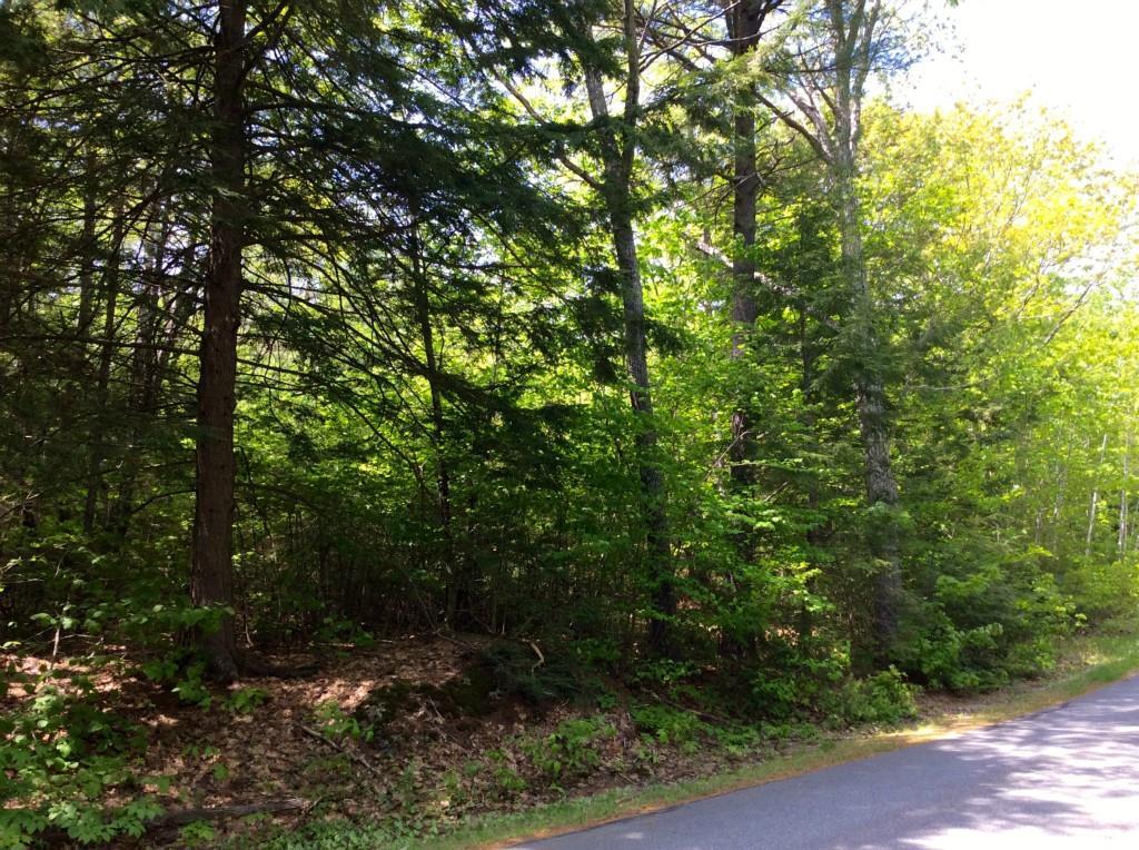 38 West Chops Point Road Bath, ME 04530 - Photo 3 of 17 Photo