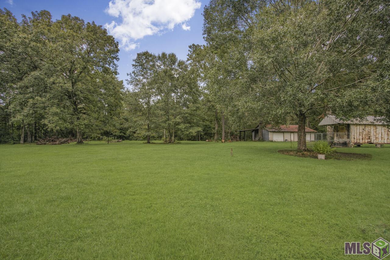 9289 Jennifer Lynn Road Denham Springs, LA 70706 - Photo 22 of 24