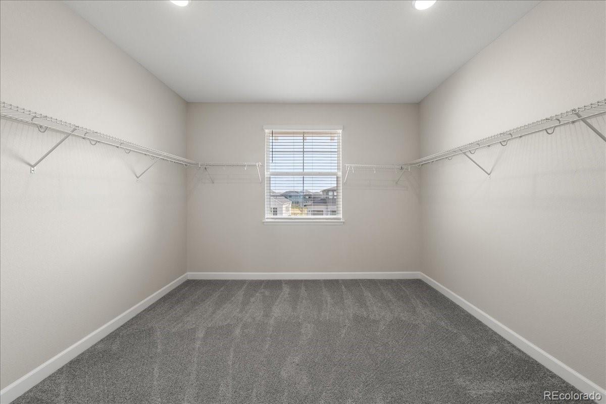 1335 Alyssa Drive Timnath, CO 80547 - Photo 23 of 50 a view of an empty room with a window