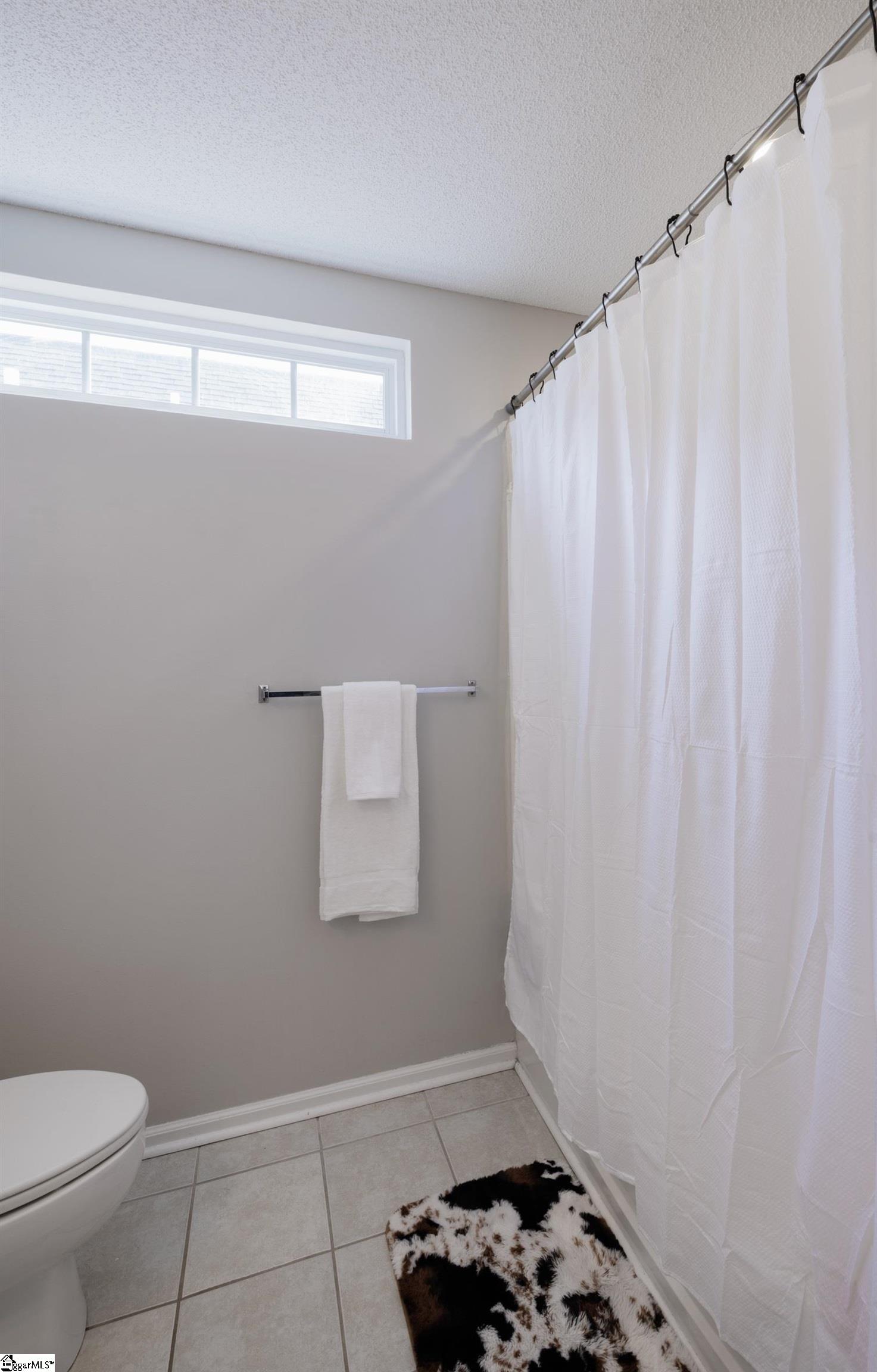 116 Nobska Light Court Simpsonville, SC 29681 - Photo 19 of 34