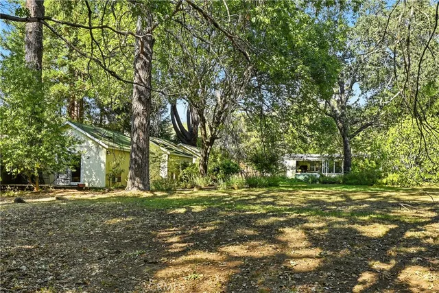 a big yard with trees
