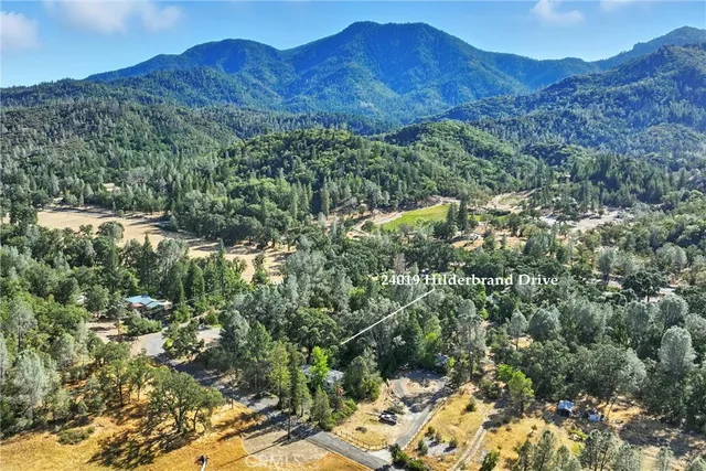 a view of a forest with mountains in the background