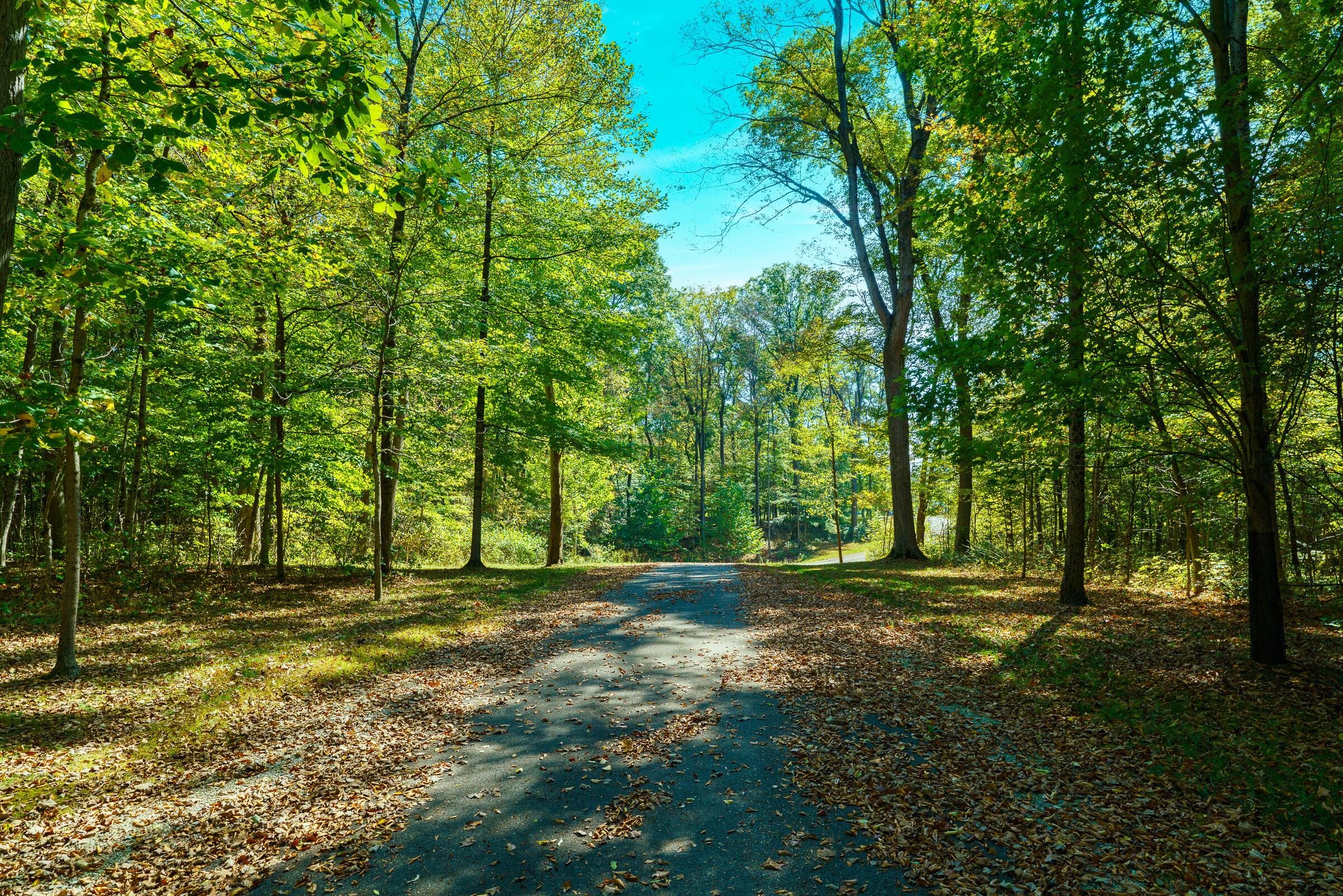 780 Home Road Delaware, OH 43015 - Photo 6 of 130 Driveway
