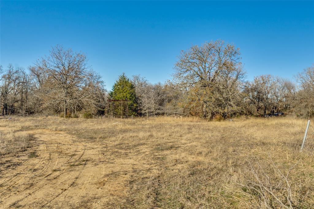 319 County Road 4868 Azle, TX 76020 - Photo 12 of 22 The back 2 acres of the property are undeveloped and is dense with trees