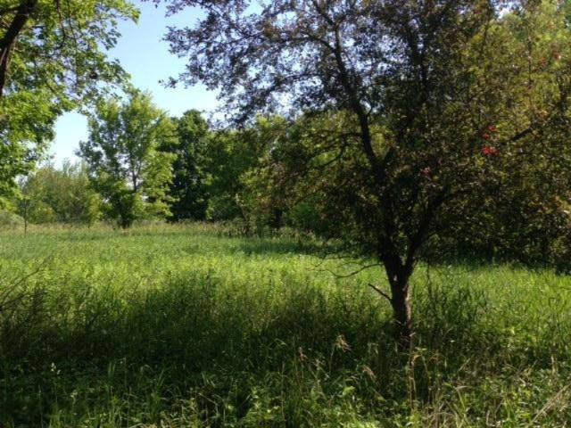 West Girard Road Union City, MI 49094 - Photo 14 of 16 IMG_1392 (1)