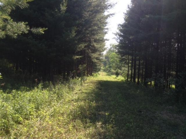 West Girard Road Union City, MI 49094 - Photo 15 of 16 IMG_1394