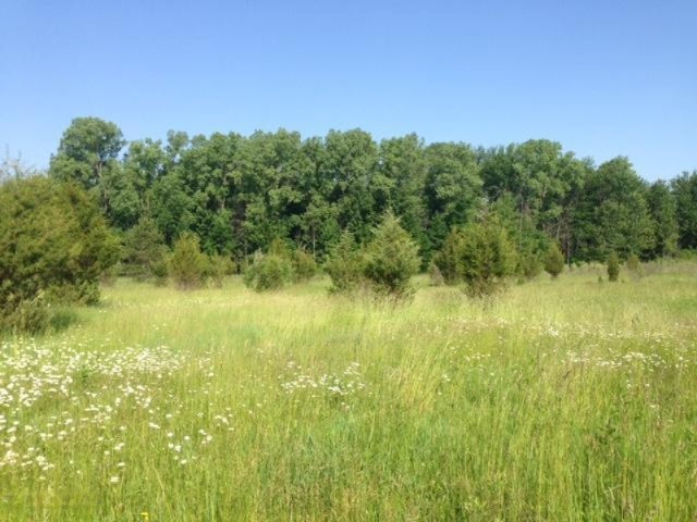 West Girard Road Union City, MI 49094 - Photo 6 of 16 IMG_1377