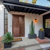 a potted plant sitting in front of a door
