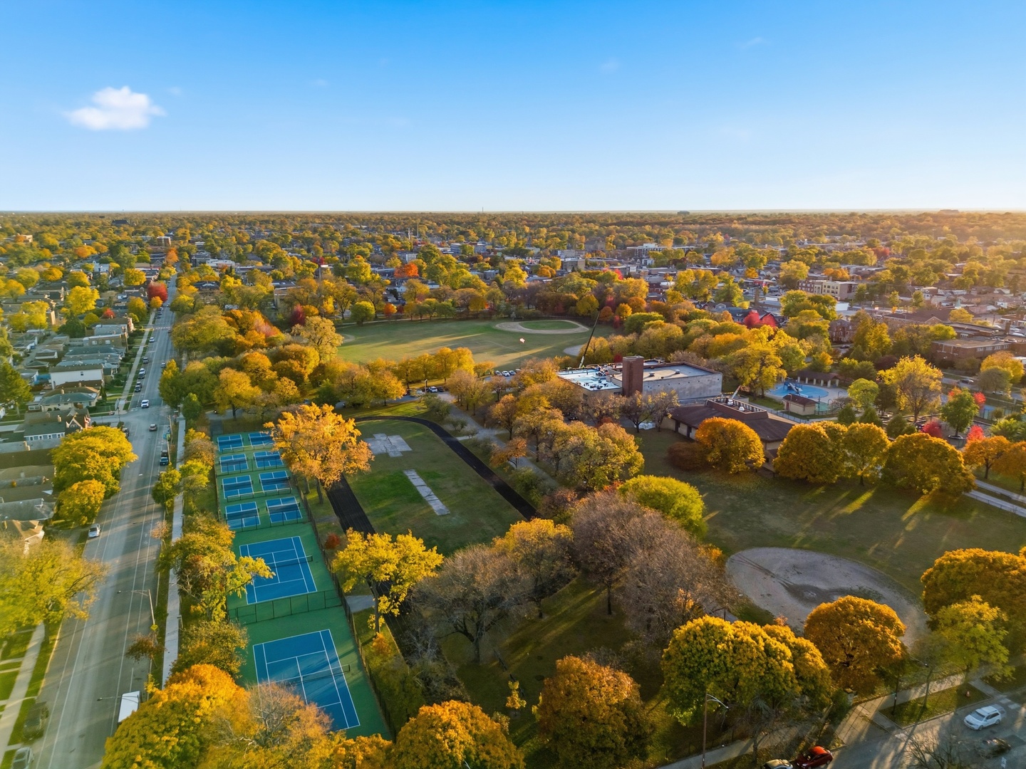 8344 South Marshfield Avenue Chicago, IL 60620 - Photo 32 of 35 an aerial view of residential houses with outdoor space