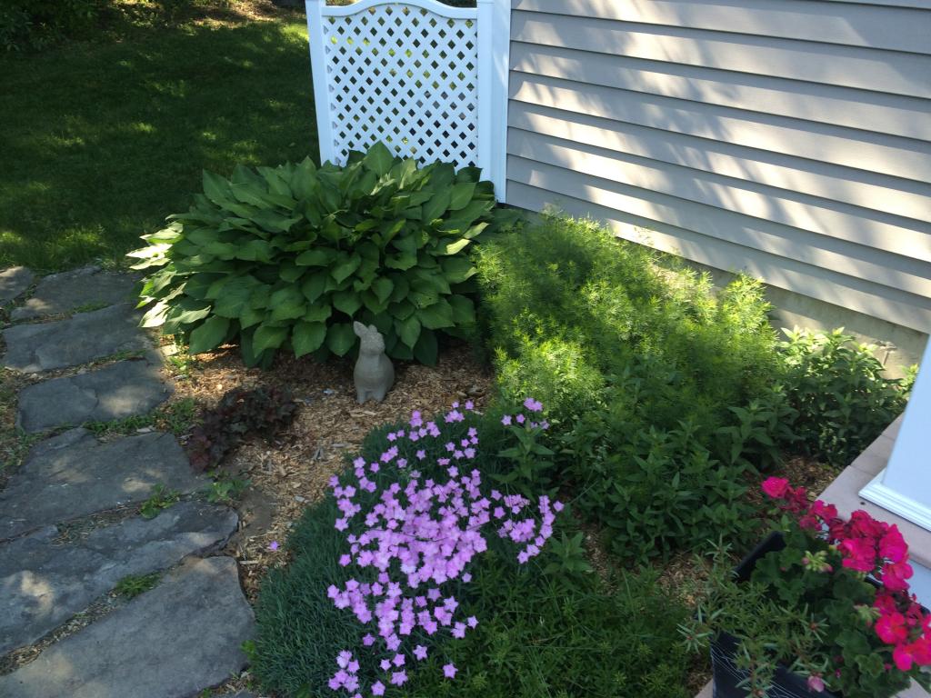 228 Post Road North Hampton, NH 03862 - Photo 34 of 36