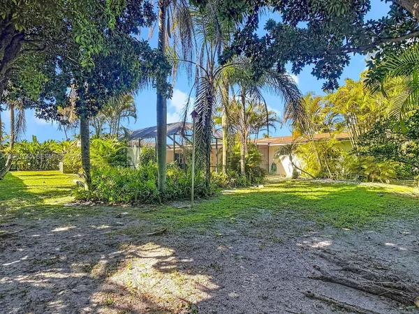 a view of a yard with palm trees