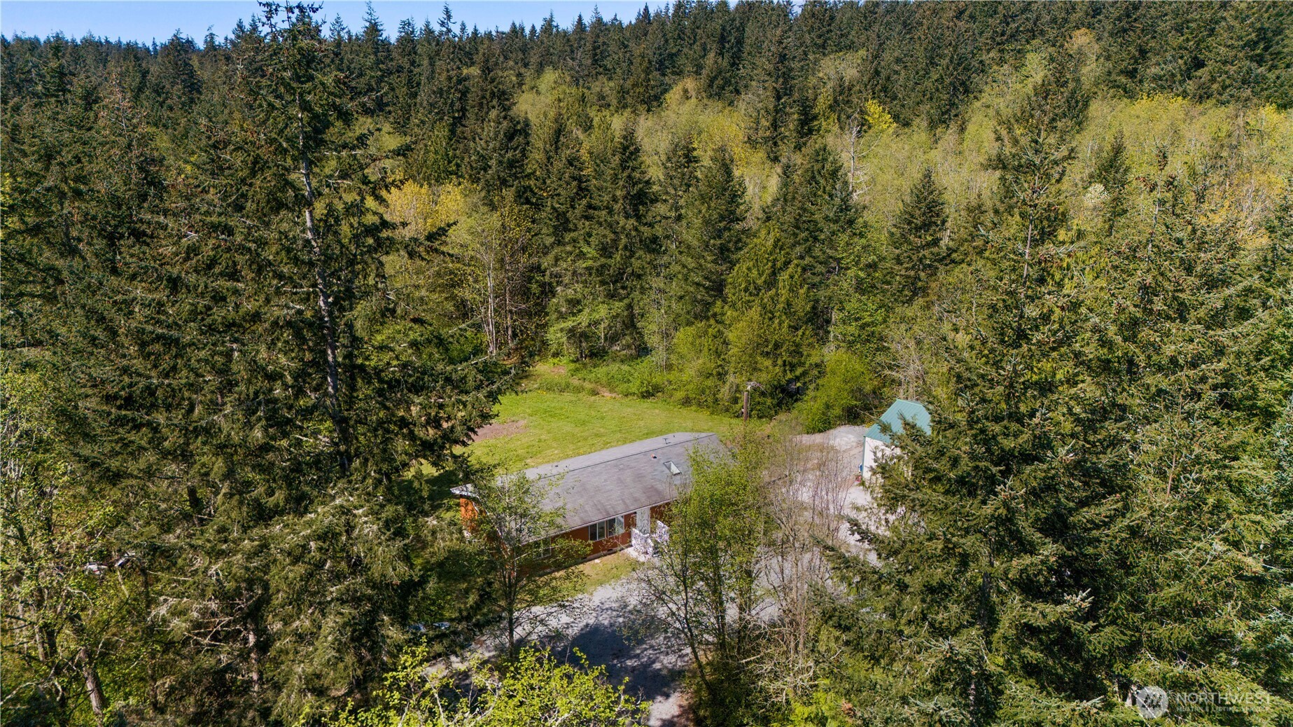 408 South Saylor Road Camano Island, WA 98282 - Photo 29 of 38 a view of a yard with a tree