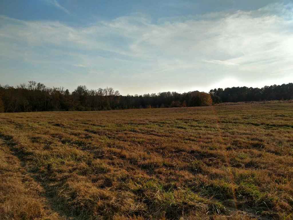 31.7-ac Marett Road, Unit 31 7 AC MARETT RD Pendleton, SC 29670 - Photo 1 of 10 Gallery Image 1