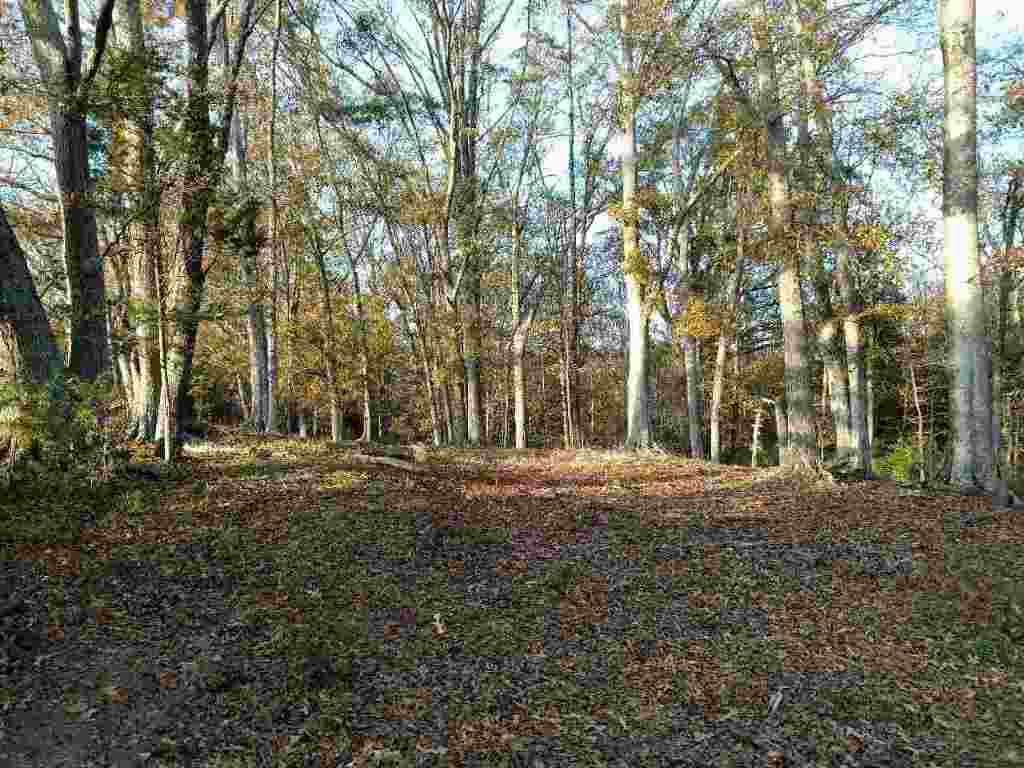 31.7-ac Marett Road, Unit 31 7 AC MARETT RD Pendleton, SC 29670 - Photo 3 of 10 Gallery Image 3