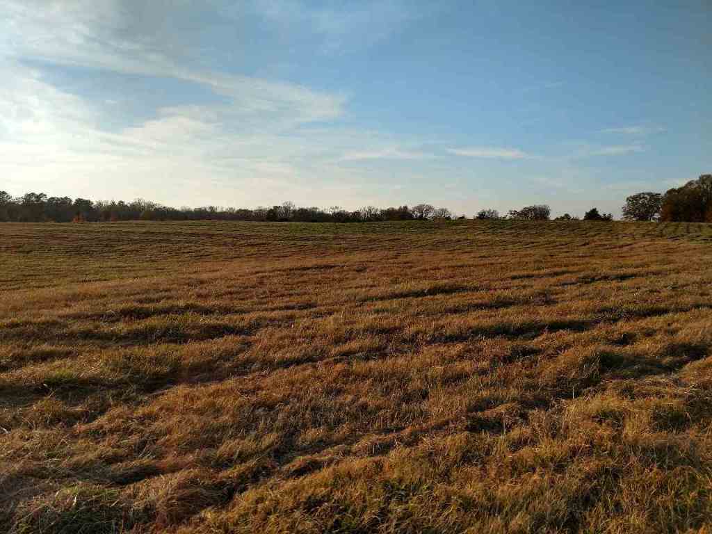 31.7-ac Marett Road, Unit 31 7 AC MARETT RD Pendleton, SC 29670 - Photo 4 of 10 Gallery Image 4